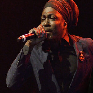 Junior Reid reggae hiphop dancehall pop music shy paris