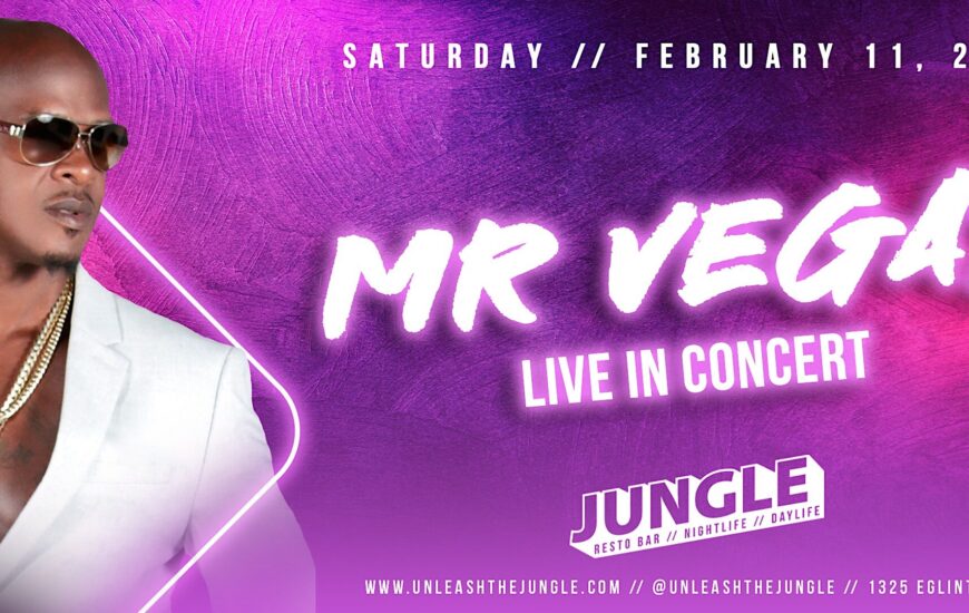 MR VEGAS Live In Concert Inside JUNGLE